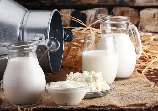 Gurukrupa Milk Dairy Franchise in India